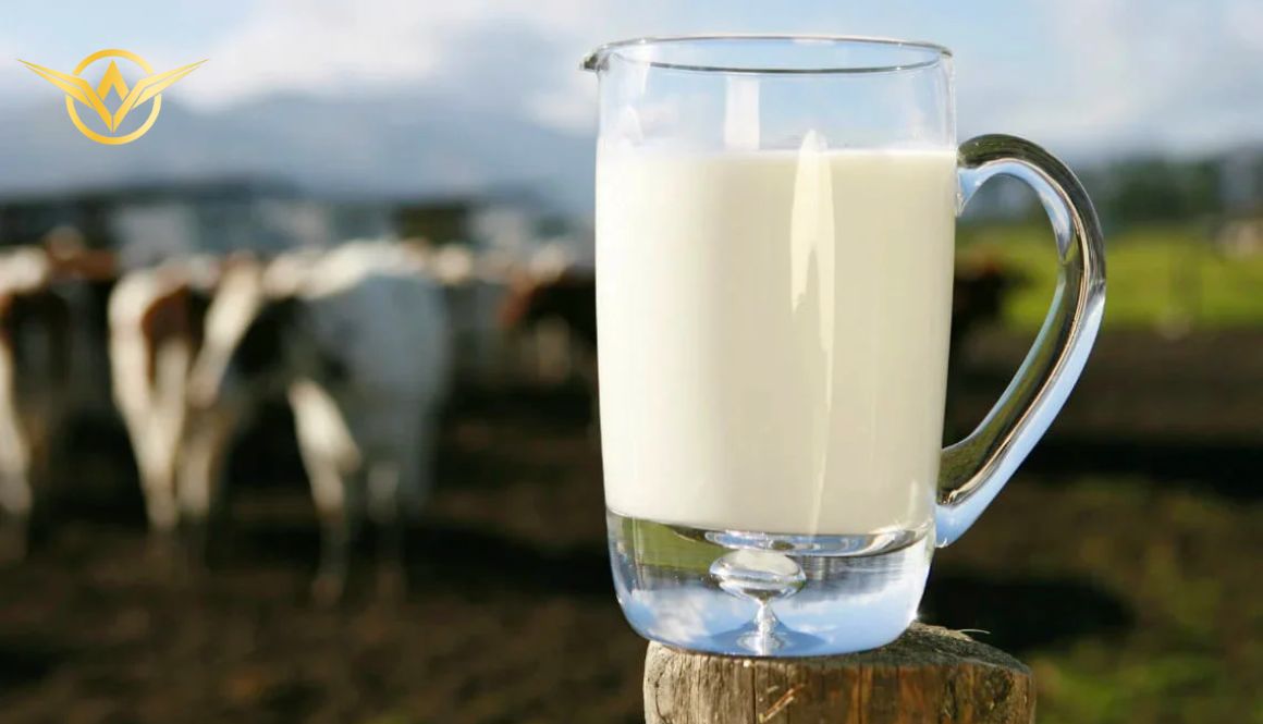 Sữa tươi làm trắng da “nhẹ nhàng, tình cảm” không gây kích ứng