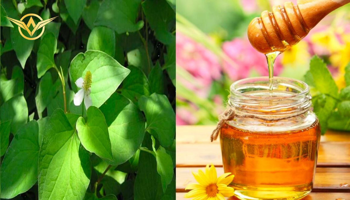 Mật ong chứa rất nhiều vitamin tốt cho sức khỏe và làn da. Đồng thời còn cân bằng độ ẩm cho da, kháng khuẩn và giảm sưng hiệu quả