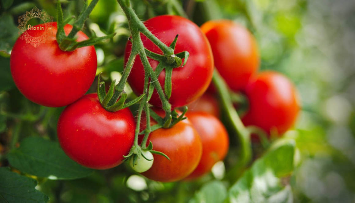 Cách làm trắng da bằng cà chua bằng ăn hoặc uống trực tiếp không chỉ tốt cho da mà tốt cho sức khoẻ nói chung